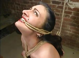 Charming brunette sex slave wants to be tortured