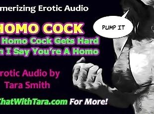 Your Homo Cock Gets Hard When I Call You A Homo Fetish Erotic Audio Mesmerizing Femdom Sissy Train