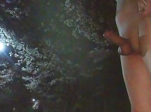 With naked erection walking under cherry trees at midnight and playing with my cock _ 220408