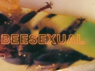 анальный-секс, трусики