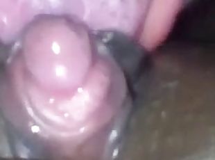 clitoris, eebenpuinen, musta
