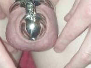 Inverted chastity cage experiment