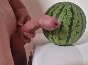 White Cock Vs Watermelon Made the Melon look Small ????