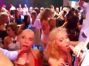 Horny girls convinced to suck cock at party