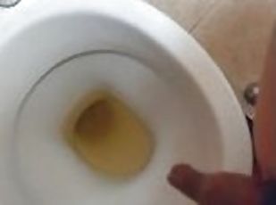 urina, amatoriali, toilette, solitari